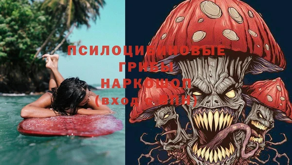 спайс Арсеньев