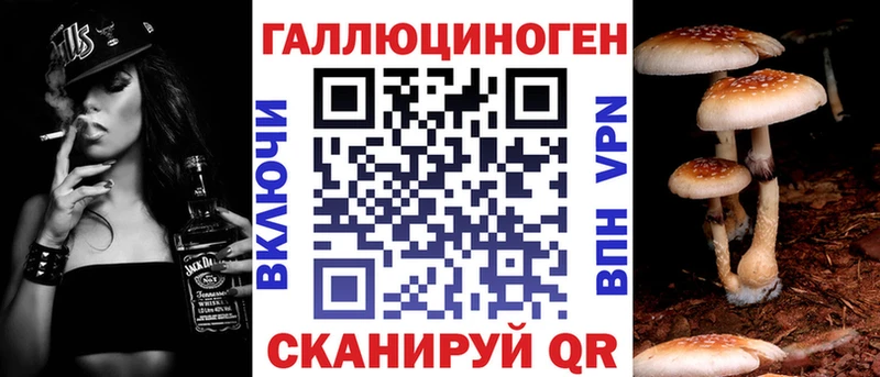 Купить закладки  Кондрово  Псилоцибиновые грибы Cubensis 