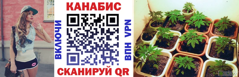 Купить где  Кондрово  Бошки Шишки план 